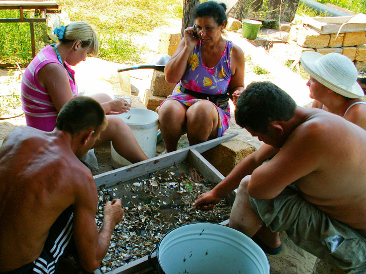 Тамара прервалась для разговора с будущими гостями от перебирания креветок, которые порой можно выгребать из моря ведрами.